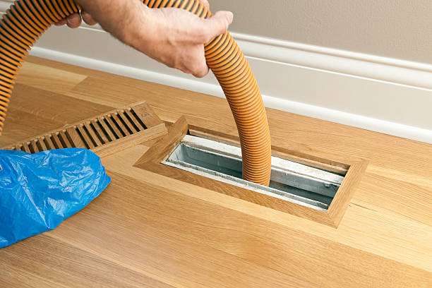 Best Air Duct Mold Removal  in Lake Monticello, VA
